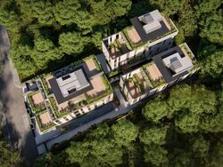 Palm Road (D15), Detached #477023221